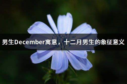 男生December寓意，十二月男生的象征意义-1