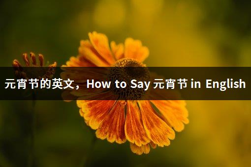 元宵节的英文，How to Say 元宵节 in English-1