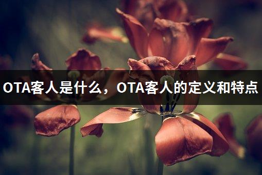 OTA客人是什么，OTA客人的定义和特点-1