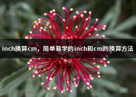 inch换算cm，简单易学的inch和cm的换算方法-1