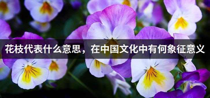 花枝代表什么意思，在中国文化中有何象征意义-1