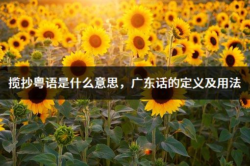 揽抄粤语是什么意思，广东话的定义及用法-1