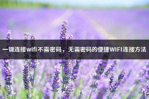 一键连接wifi不需密码，无需密码的便捷WIFI连接方法-1