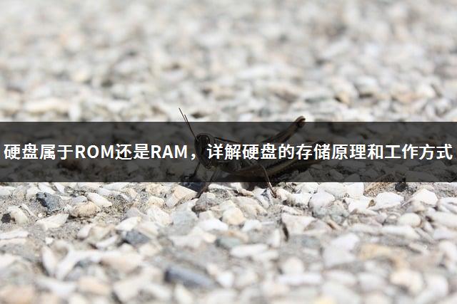 硬盘属于ROM还是RAM，详解硬盘的存储原理和工作方式-1