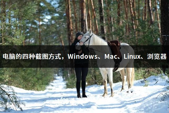 电脑的四种截图方式，Windows、Mac、Linux、浏览器-1
