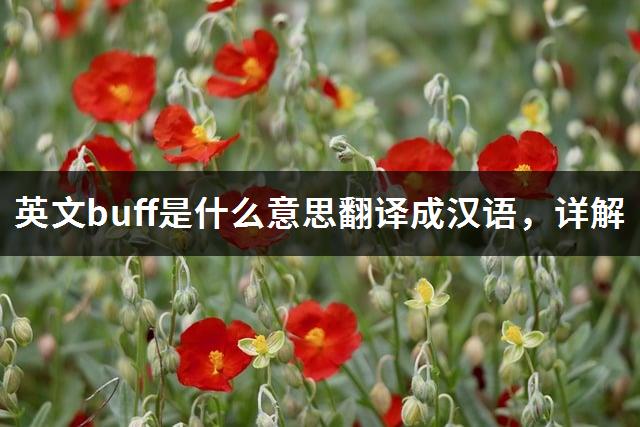 英文buff是什么意思翻译成汉语，详解-1