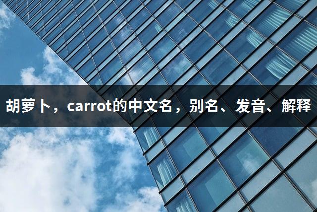 胡萝卜，carrot的中文名，别名、发音、解释-1