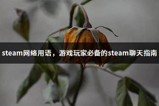steam网络用语，游戏玩家必备的steam聊天指南-1